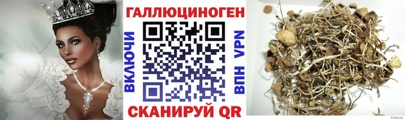 MEGA вход  Мглин  Галлюциногенные грибы GOLDEN TEACHER 